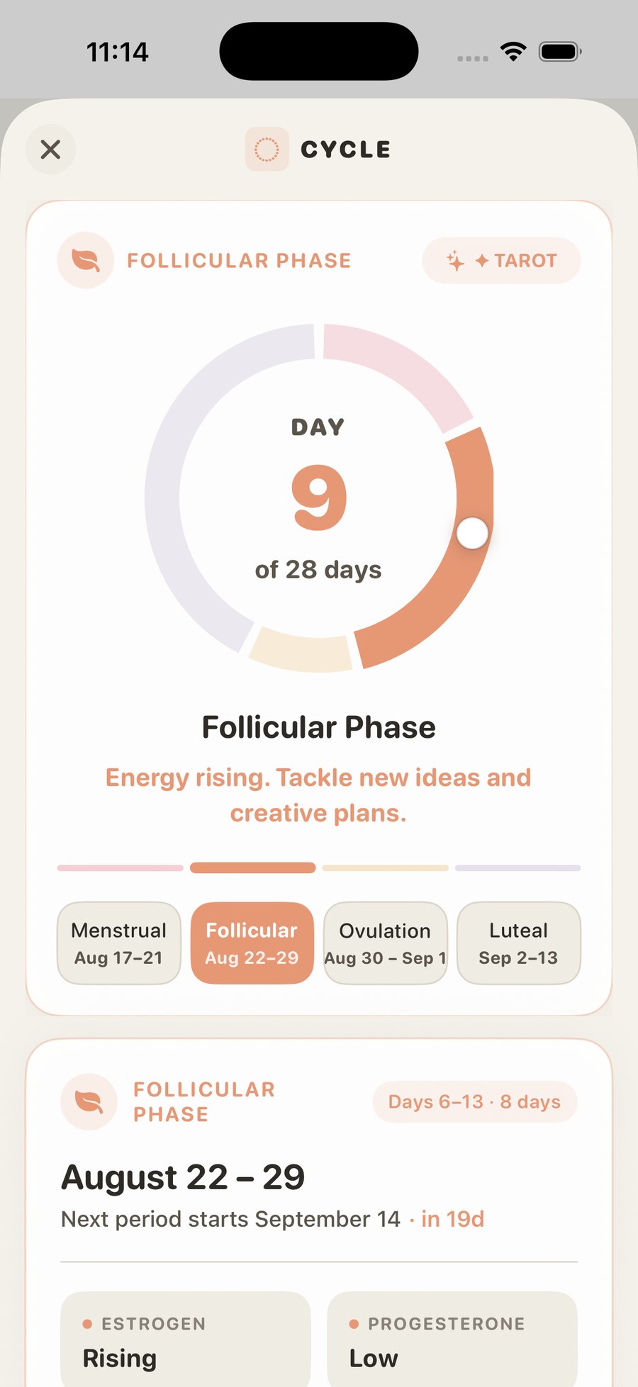 Glimz cycle view: a wheel showing day 9 of 28, the four phases, and a follicular-phase note